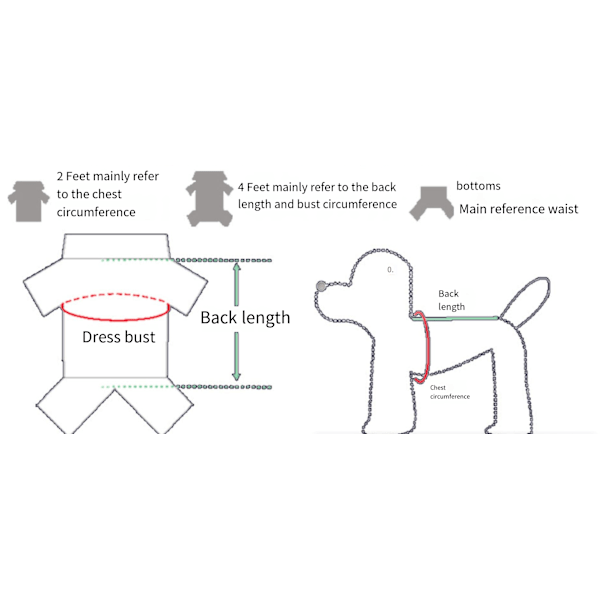Tegneserie-transformasjonsklær for kjæledyr til små og mellomstore hunder, hundeklær, katteklær, høst- og vinterklær i bomull for firbeinte Frog XL