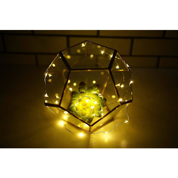 Vinflaska Lights Mini String Lights, Varmvita-10 st