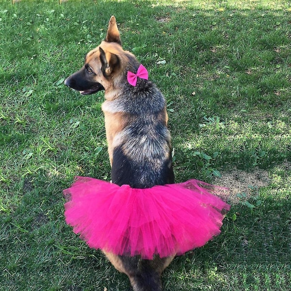 Pet Hund Kat Kostume Tutu Outfit Animal Halloween Party Tulle Nederdel Rose Red