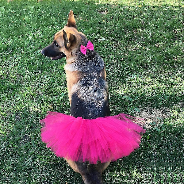 Pet Hund Kat Kostume Tutu Outfit Animal Halloween Party Tulle Nederdel Rose Red