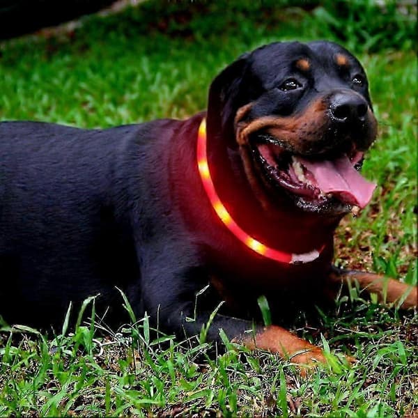 USB Uppladdningsbart LED Hundhalsband för Förbättrad Husdjurssäkerhet och Nattlig Synlighet 25-26s