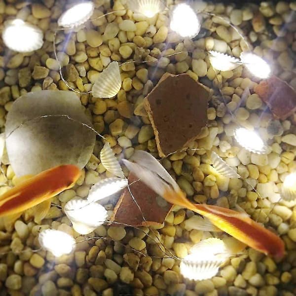 【DENGTU】Ocean Real Seashell 2 cm (h) 40 LED String Lights 4.22 m Battery Operated Waterproof Warm White With Timer And Remote Control For Beach Theme Decor B