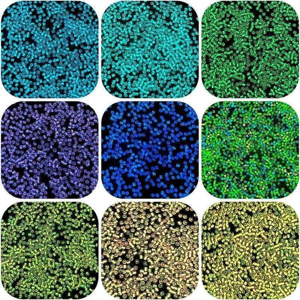 【DENGTU】Frøperler - 2mm - 750 stk - Selvlysende - Lysende perler multifärg multicolor