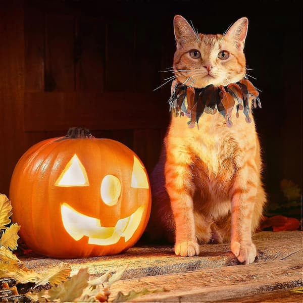 Elastisk græskar kæledyrshalsbånd Halloween indretning kostume tilbehør til hunde og katte blue
