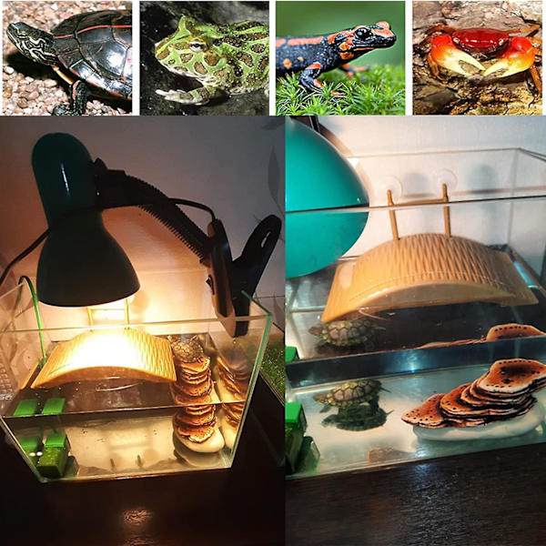 Turtle Floating Island Aquarium Pier Ramp med sugkoppar