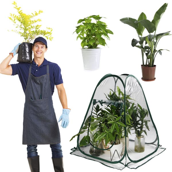 Mini Pop-up Växthus, Inomhus Utomhus PVC Växthusskydd, Litet Bärbart Trädgårdsblomskydd - 70 x 80cm[dt]