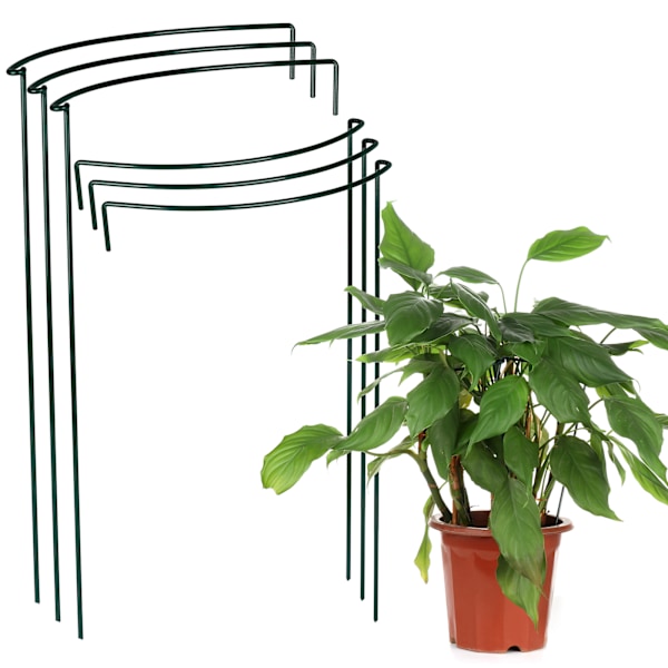 Det buede plantestativet er perfekt for å støtte ulike planter og fremme deres sunne vekst.