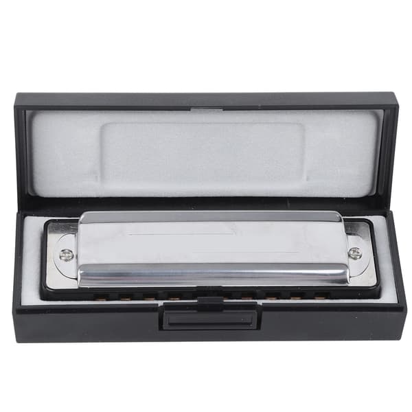Blues Harmonica 10 Huller A Toneart ABS Resin Professionelt Begynder Blæseinstrument Sort