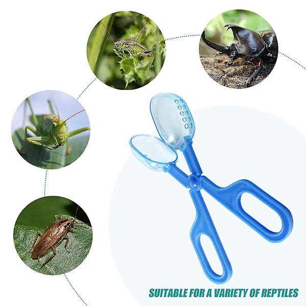 2st Bärbar Transparent Insect Catcher Indoor Outdoora Blue