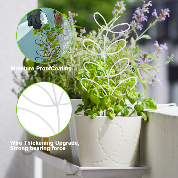 Klatrestativ i smijern for planter - Hvit spiss espalier