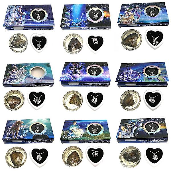 Love Pearl Creations Zodiac Wish Kit med hänge halsband