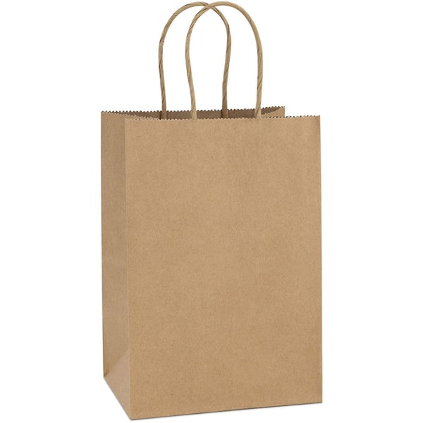20 stk Kraft papirposer 10 tommer små papirgaveposer med håndtak Bulk