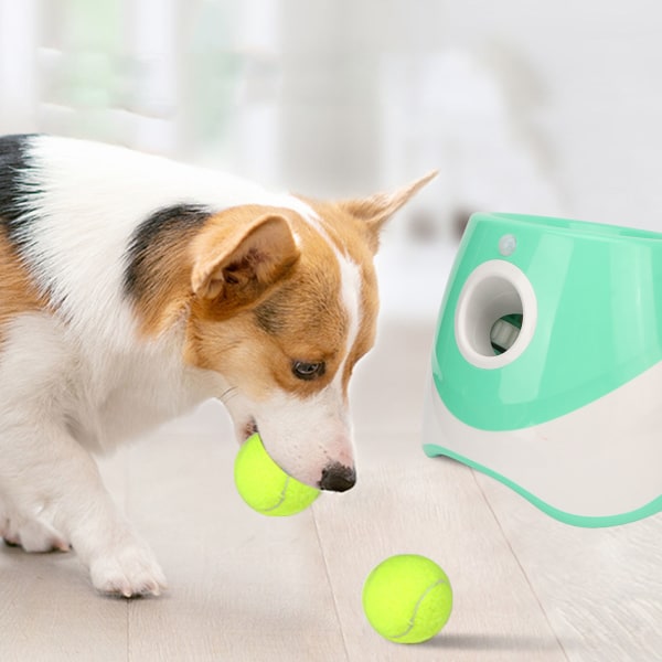 Hundeautomatisk boldkaster genopladelig 3 modes interaktiv kæledyrsboldkaster til indendørs udendørs grønt