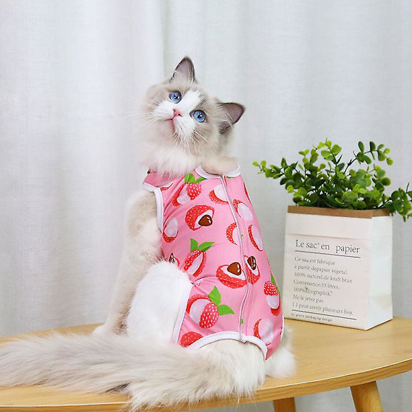 Cat Recovery Suit Cat Sterilization Kläder Andningshalsband B M