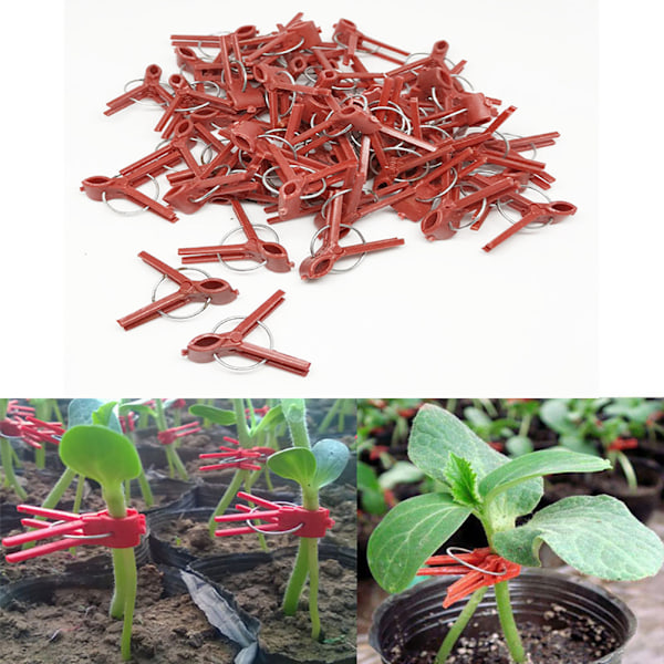 100 Plast Grafting Klips for Planter - Viktige Hage Støtte Klips