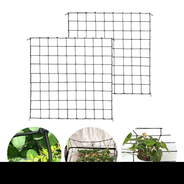 Hydroponic Grow Room Scrog Net Tält Växtstödsnät 120*240cm