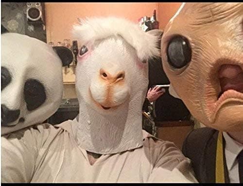 Kostyme Nyhet Halloween Kostymefest Lateks Dyrehode M