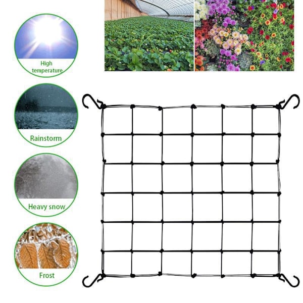 Hydroponic Grow Room Scrog Net Tält Växtstödsnät 120*240cm