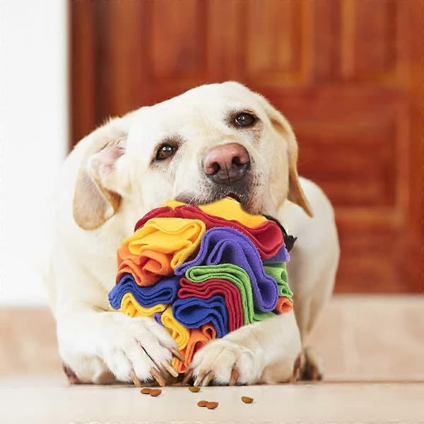 Hundenæsepuder, interaktive hundelegetøjsbolde, hundepuslespil, hundefoderpuder, hundefodersøgningspuder, snusepuder