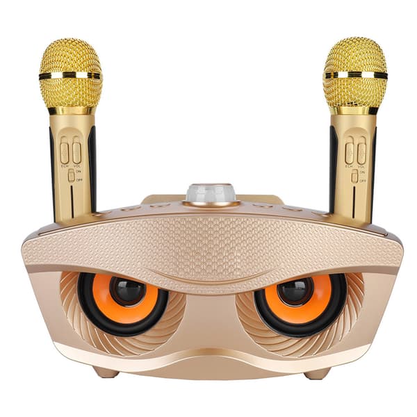 Hem KTV Karaoke Bluetooth-högtalare med 2 mikrofoner Guld