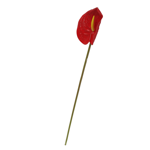 3D Simulation af Flamingo Anthurium Blomsterbuketter til Stueindretning