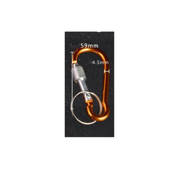 Carabiner Clip Keychain with Lock