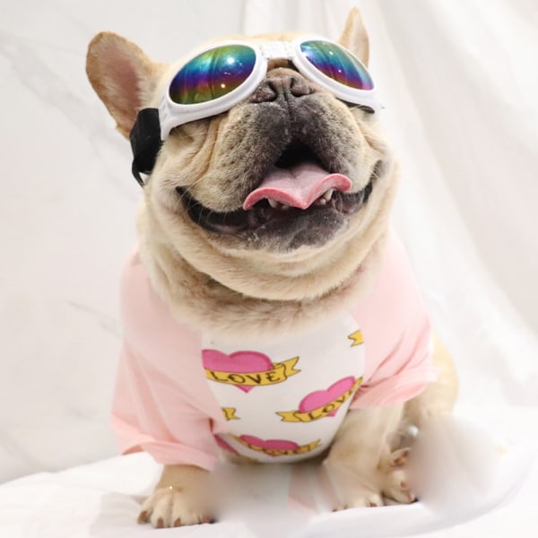 Lemmikkieläinten silmälasit Koiran lasit PINK pink dfca | pink | Fyndiq
