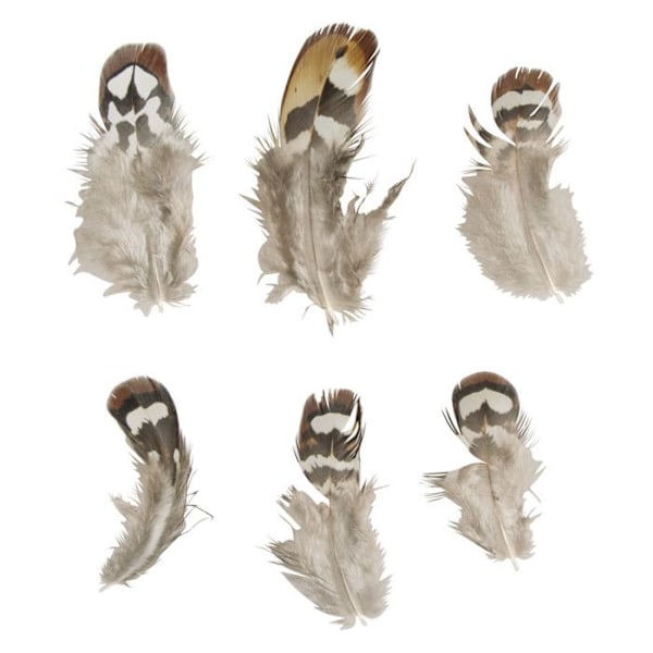 Kalkonfjäder, 7,5-13cm, 6st
