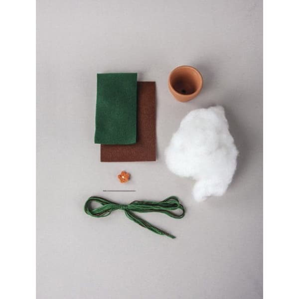 Kit: Kaktus, 5cm 10cm, glas 1pce.
