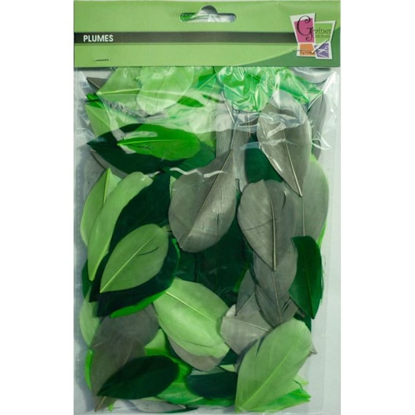 Gåspennor - Camaïeu - Grön - 10 gram - Längd 6 cm - Hantverksdekoration