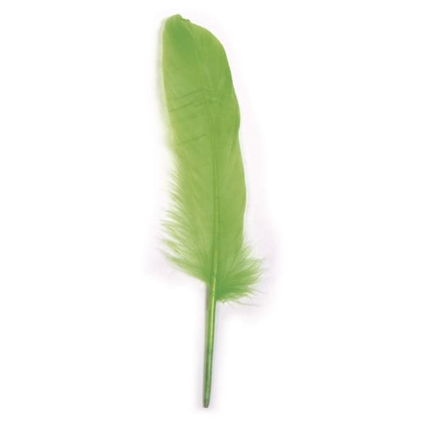 Gåspennor, grön lime, 16 - 20 cm, 8 st