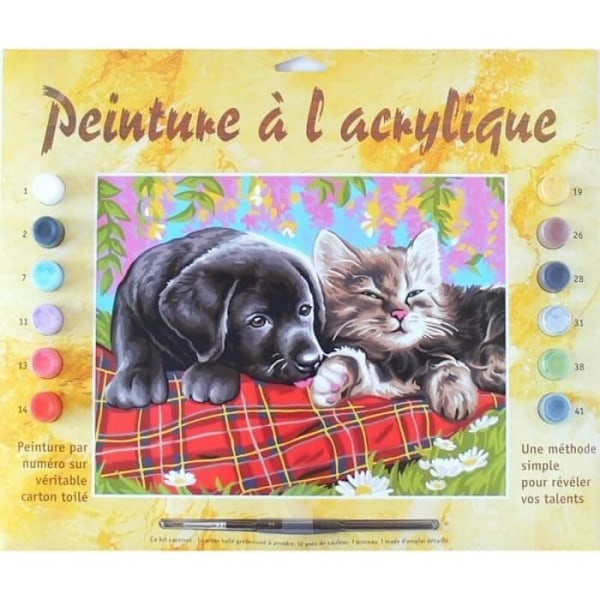 Färg för nummer - Som hund och katt - 30 x 40 cm - Flerfärgad - Akryl - Blandet Akryl