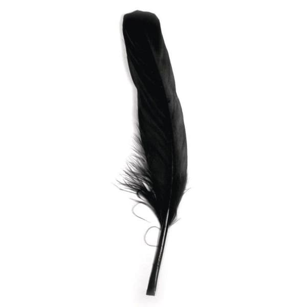 Gåspenna, 16-20 cm, 8 st, svart