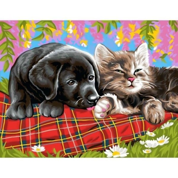 Färg för nummer - Som hund och katt - 30 x 40 cm - Flerfärgad - Akryl - Blandet Akryl