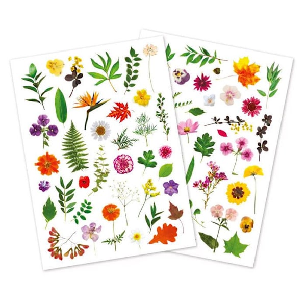 Gommette - Ej specificerat - Herbarium - 73 delar - 1,2 till 6 cm - Flerfärgade Flerfärgad