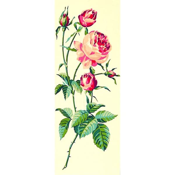 Antik canvas Rosa 25x60cm