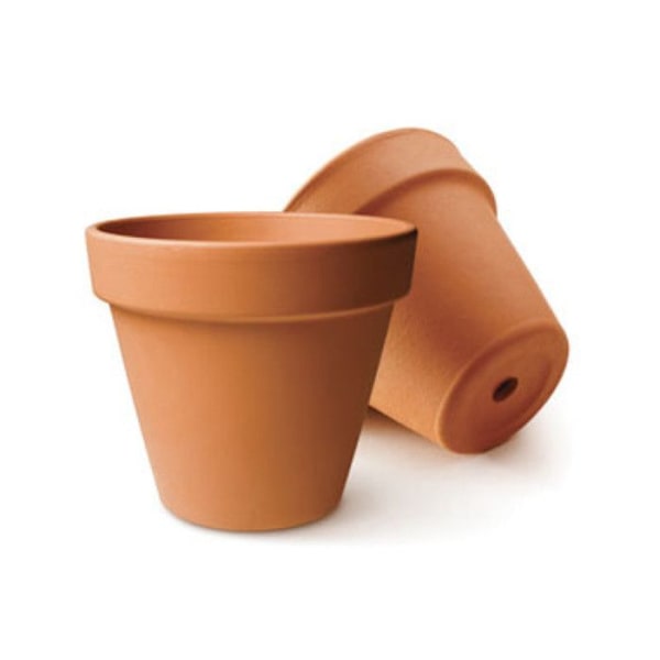 Graine Créative - Blomkruka Diameter 6 cm