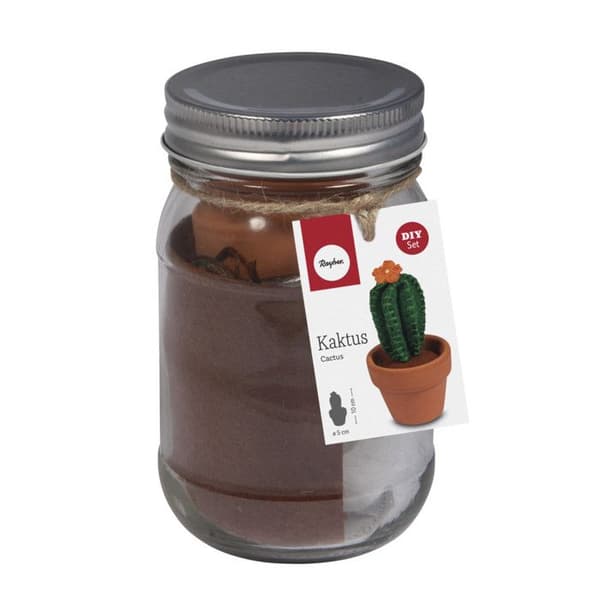 Kit: Kaktus, 5cm 10cm, glas 1pce.