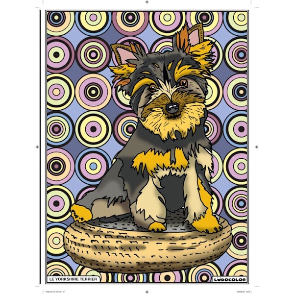 Färgläggningsplatta Yorkshire Terrier
