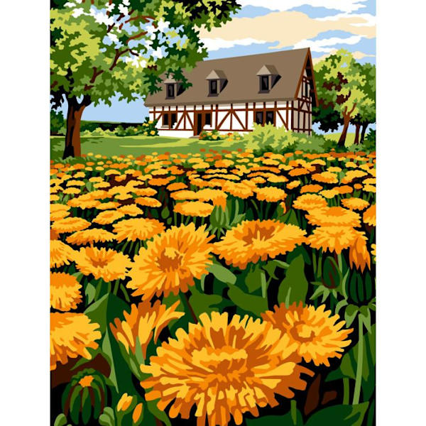 CANVAS PENELOPE 60X80 - MRC15251