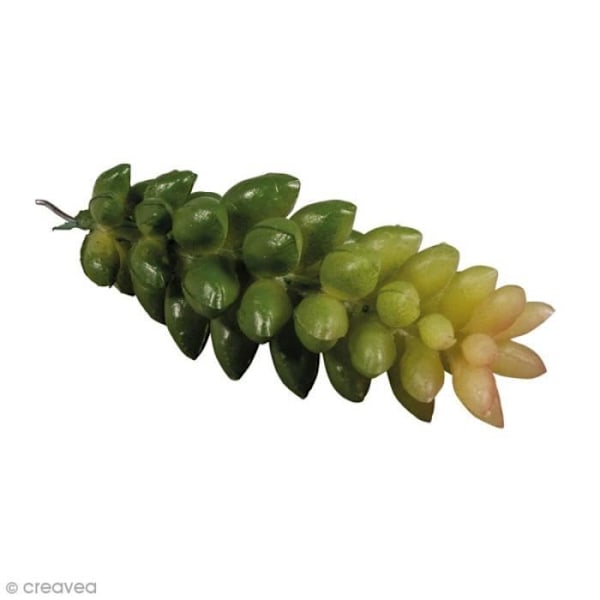 Konstväxt - RAYHER - Crassula - 2,5 x 6,5 cm - Ser ut som en riktig växt - Perfekt för mini trädgårdar