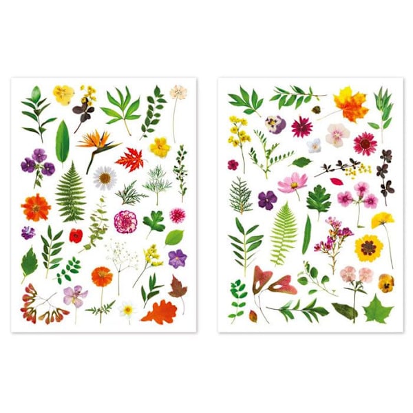 Gommette - Ej specificerat - Herbarium - 73 delar - 1,2 till 6 cm - Flerfärgade Flerfärgad