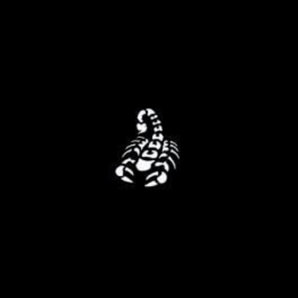 Schabloner 7x10 cm (Scorpion)