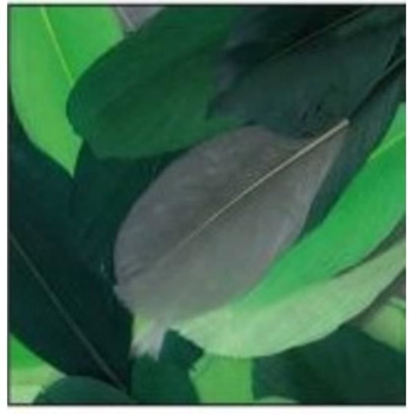 Gåspennor - Camaïeu - Grön - 10 gram - Längd 6 cm - Hantverksdekoration