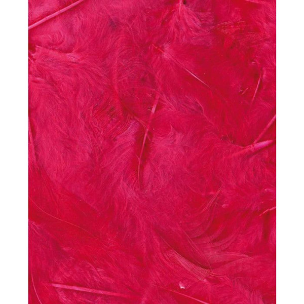 Plommar EborifféesFuchsia 3 g Lg 8 till 12 cm