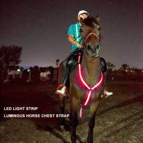 Sele Horse Webbing LED-lampor Nattsäkerhetsbälte Ridutrustning Red
