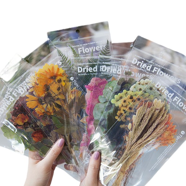 2 förpackningar Torkade blommor klistermärken genomskinlig blomma växt klistermärken set DIY scrapbooking Eucalyptus leaf