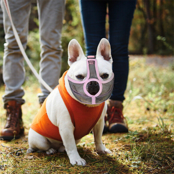 Munkorg för hundar för kortnosig hundras fransk bulldogg Anti Biting Cover Pink M