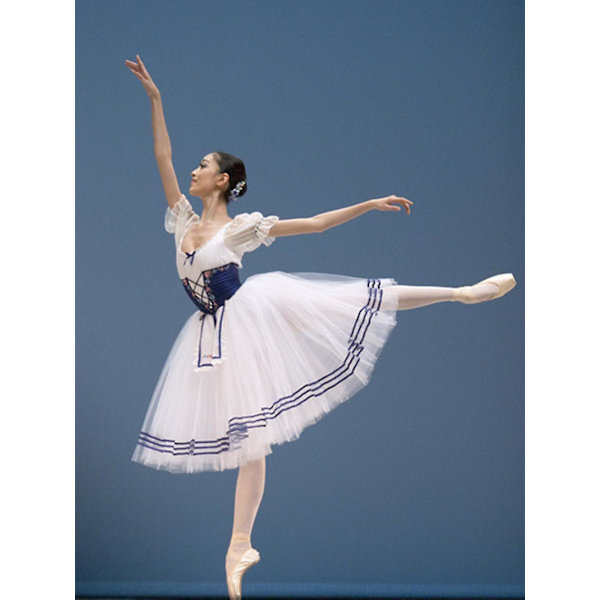 Professional Girls Ballet Tutu Dress Giselle Adulto Women Mesh Skirt Short Puff Sleeves Kids Dance Gymnastics Leotard Costumes High Quality -a S