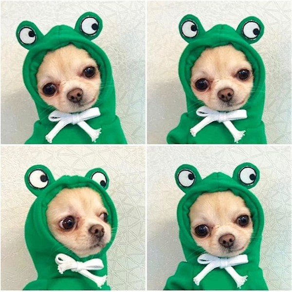 Hundetrøje med hætte, sødt hundetøj, varmt tøj til små og mellemstore hunde og katte Chihuahua .i Green Frog L